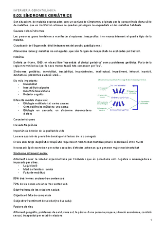 5.03-Sindromes-geriatrics.pdf