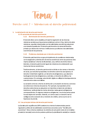 Resumen-Tema-1-D.-civil-2.pdf