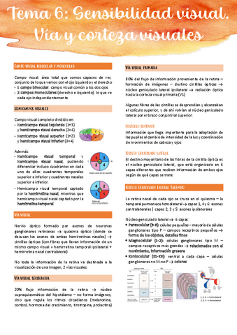 Tema-6.pdf