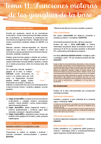 Tema-11.pdf