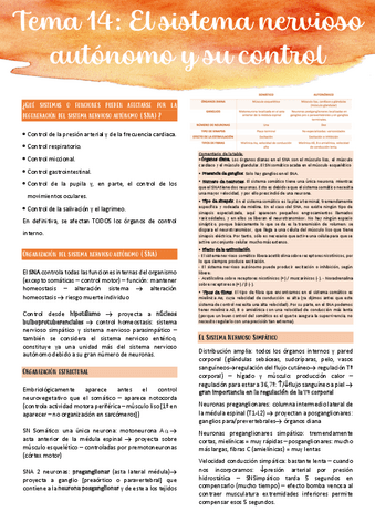 Tema-14.pdf
