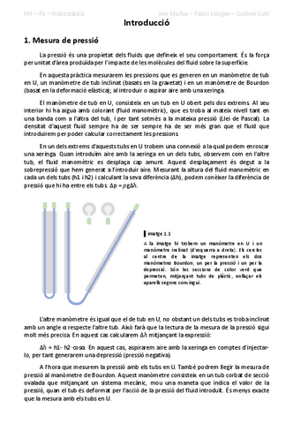 Practica-1Hidrostatica.pdf