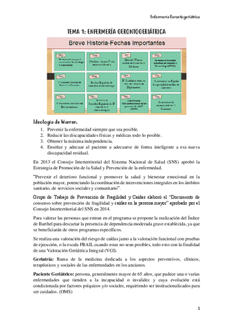 ENFERMERIA-GERONTOGERIATRICA-VICENTE.pdf