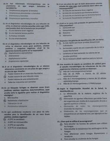 MICROBIOLOGIA-CINICA-PARTE-5.jpg
