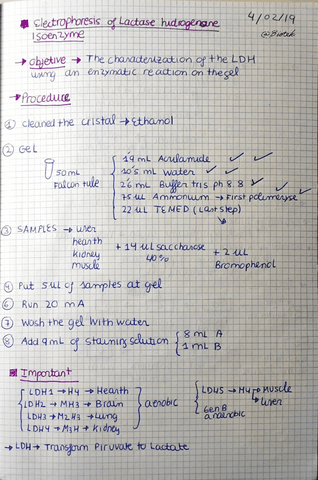 Cuaderno de labo integrado 2 ( Contiene dibujos esquemáticos).pdf