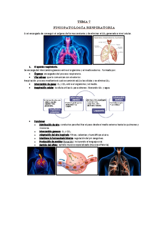 Unidad-7-FPG.pdf