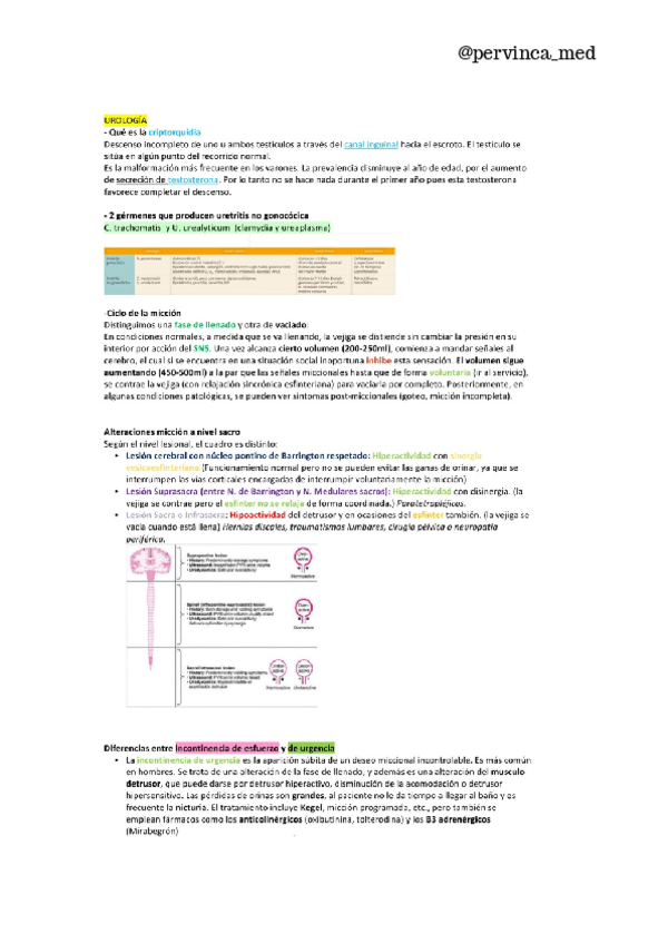 (act 2024) Recopilatorio-cortas-UROLOGIA-RESUELTAS.pdf