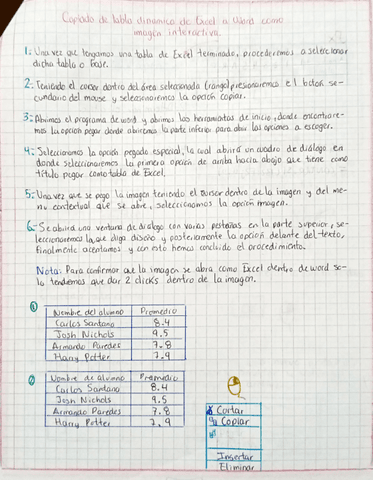 Copiado-Excel-a-Word.pdf