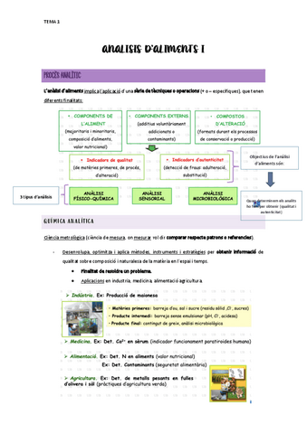 TEMA-1-Proces-Analitic.pdf