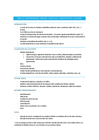 TEMA-11.pdf
