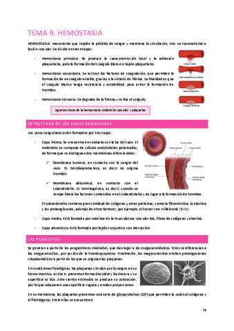 Tema-9.-Hemostasia.pdf