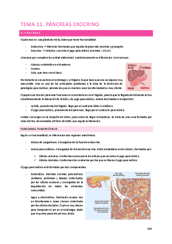 Tema-11.-Pancreas-exocrino.pdf