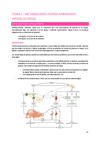 Tema-5.-Metabolismo-hidrocarbonado.-Hipoglucemias.pdf