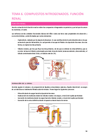 Tema-6.-Compuestos-nitrogenados.-Funcion-renal.pdf
