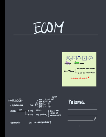 ECOM.pdf