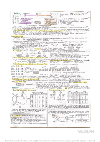 Chuleta-P1--practicas-12.pdf