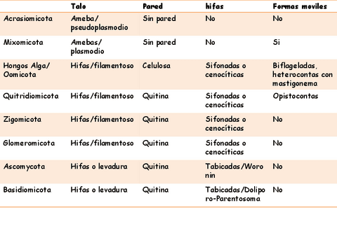 Tabla-resumen-hongos.pdf