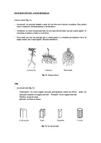 Practicas-Bot-II.pdf