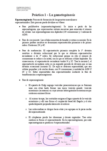 EXAMEN-PRACTICO-EMB-1-1.pdf