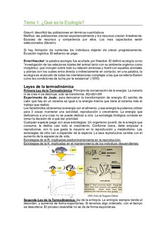 Apuntes-Eco-I-1.pdf