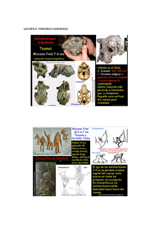 diapositivas-antro-1.pdf