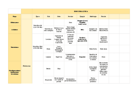 TABLA-LITICA.pdf