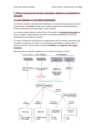 Tema 3 Resumen.pdf