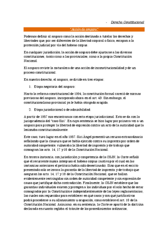 Accion-de-amparo.pdf