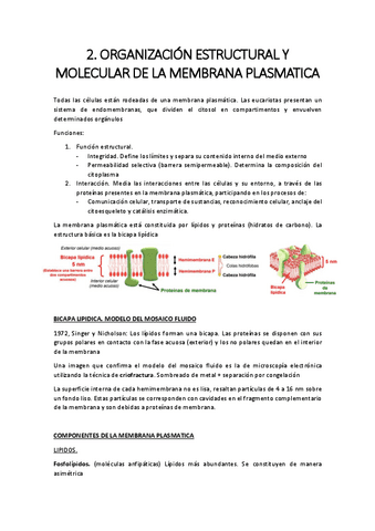 2.-Organizacion-estructural-y-molecular-de-la-membrana-plasmatica.pdf