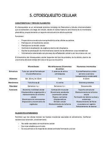 5.-citoesqueleto.pdf