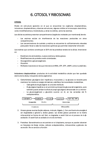 6.-citosol-y-ribosomas.pdf