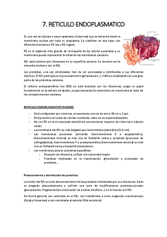7.-reticulo-endoplasmatico.pdf