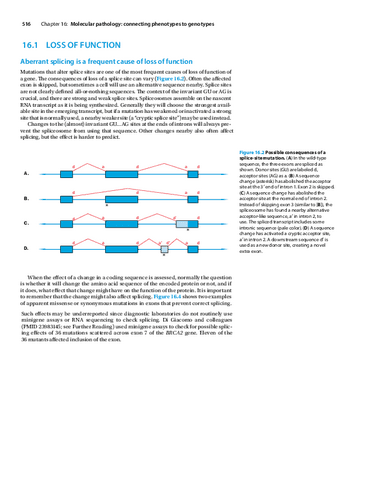 Genetic-pathology-5th.pdf