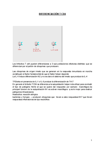 VIDEO-6-DIFERENCIACION-T-CD4.pdf