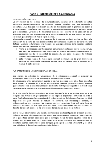 CASO-AUTOFAGIA-2.pdf