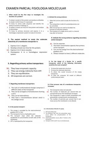 partial-exam.pdf