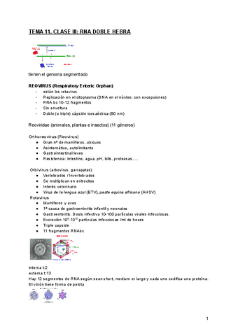 TEMA-11.-CLASE-III-RNA-DOBLE-HEBRA.pdf