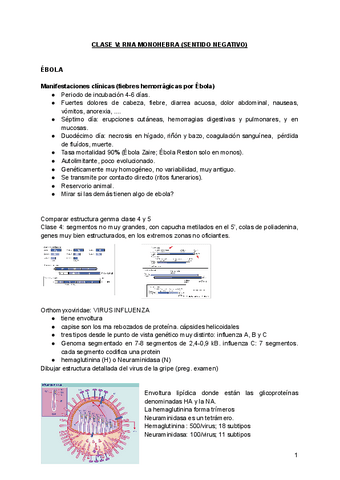 TEMA-11.Clase-V-rna-mono-hebra-sentido-negativo.pdf