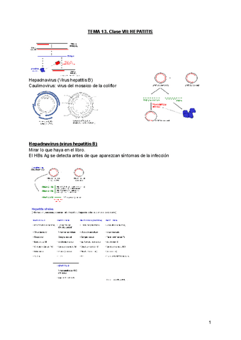 TEMA-13.-HEPATITIS.pdf