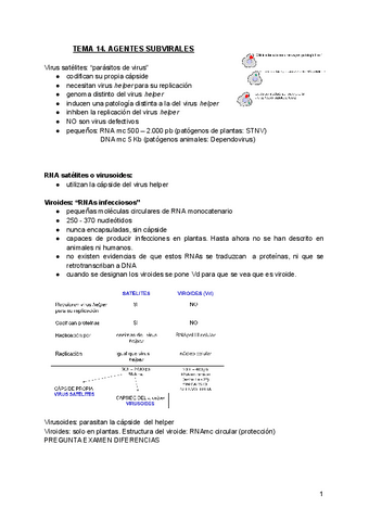 TEMA-14.-AGENTES-SUBVIRALES.pdf