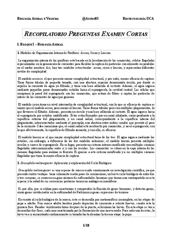 Recopilatorio-Preguntas-Examenes-Desarrollo.pdf