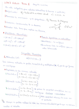 MACRO RESUMEN CALCULITO.pdf