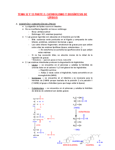BIOQUIMICA-TEMA-12-13-PARTE-2.pdf