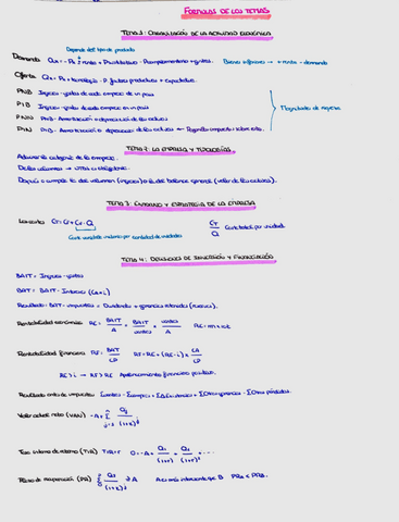 Esquema-resumen-empresa.pdf