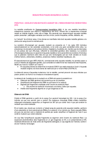 RESUM-PRACTIQUES.pdf