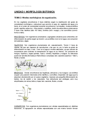 Apuntes-botanica.pdf