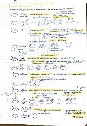 TEMA-6.pdf