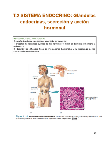 T.2-fisiologia-1.pdf