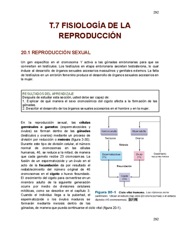 T.7-fisiologia.pdf