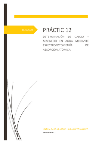 GR2SUBGRUPO2INFORME12LABQAIREV.pdf